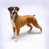 Beswick Boxer Dog Blue Mountain Greta Figurine