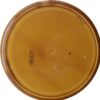 Royal Doulton Elington Tournament Wall Plate