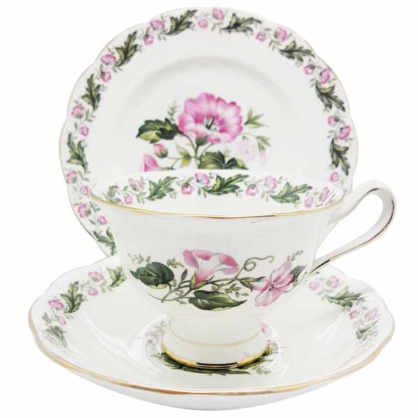 Royal Albert Cotswold Avon Trio