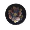 Moorcroft Clematis Footed Bowl C1938