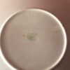 Shelley Brown Swirls Deco Cake Plate
