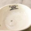 Carlton Ware Apple Blossom Small Comport