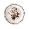 Portmeirion Botanic Garden Main Plate Christmas Rose