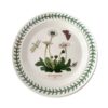 Portmeirion Botanic Garden Side Plate Daisy