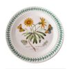 Portmeirion Main Plate Botanic Garden African Daisy