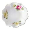 Shelley Begonia Dainty Bon Bon