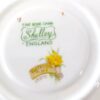 Shelley Daffodil Time Demitasse  Duo