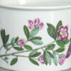 Portmeirion Botanic Garden Tea Duo Rhododendron Lepidotum