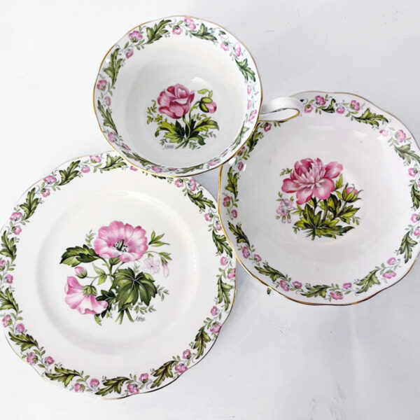 Royal Albert Cotswold Pattern Tea Set