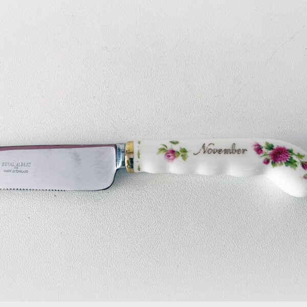 Royal Albert Flower of The Month November Cake Knife
