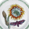 Portmeirion Botanic Garden Entree Plate Night Flowering Cereus