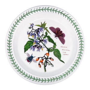Portmeirion Botanic Garden Entree Plate Woody Nightshade