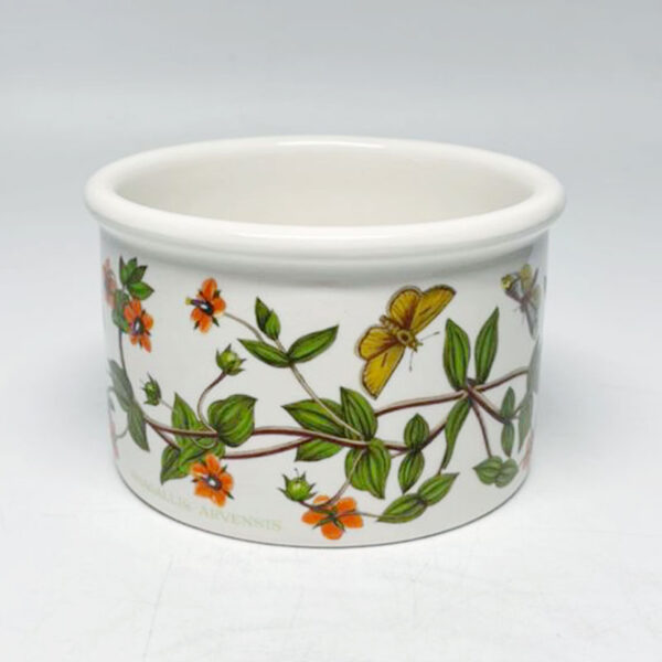 Portmeirion Botanic Garden Open Souffle Pimpernel