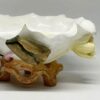 Moores Bros Flower and Foliage Water Lily Bowl