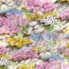 Shelley Rock Garden Chintz Tea Set 13454