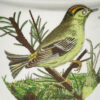 Portmeirion Susan William Ellis Birds Of Britain Sugar Bowl