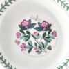 Portmeirion Botanic Garden Lipped Dessert Rhododendron