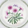 Portmeirion Botanic Garden Treasure Flower Entree Plate