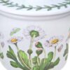 Portmeirion Botanic Garden Daisy Lidded Sugar
