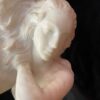 Art Nouveau Marble and Alabaster Maiden Lamp C1910