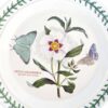 Portmeirion Botanic Garden Side Plate Spanish Gum Cistus