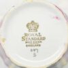 Royal Standard Pink Floral Banded 21 Piece Tea Set