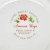 Royal Albert Country Bouquet Collection Autumn's Hope Tea Duo