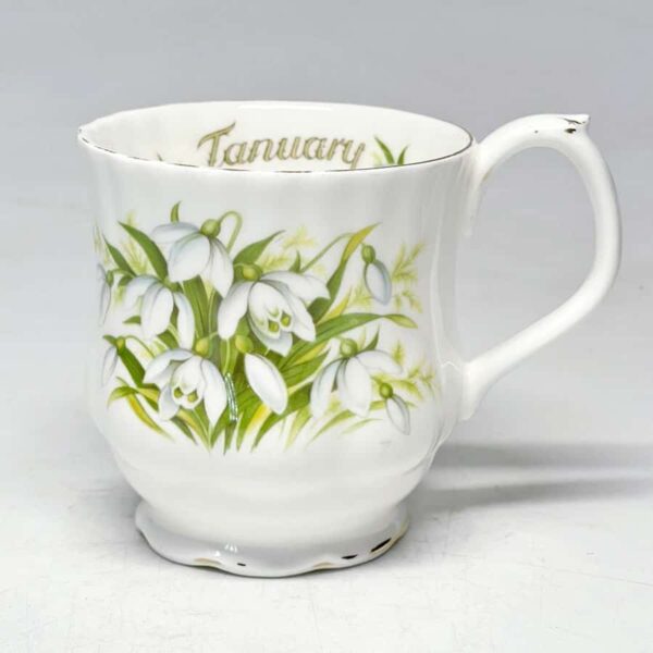 Royal Albert Flower of The Month Mug January