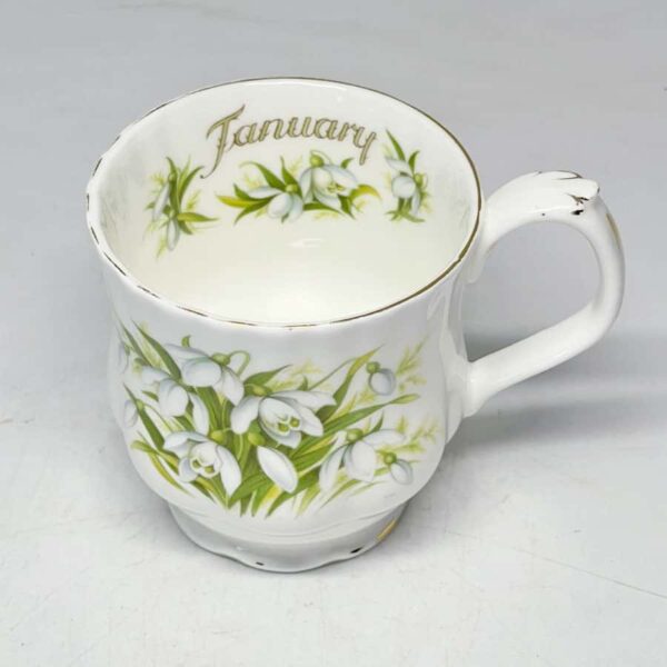 Royal Albert Flower of The Month Mug January