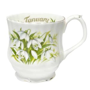 Royal Albert Flower of The Month Mug January