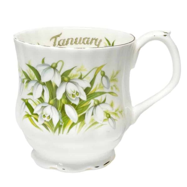 Royal Albert Flower of The Month Mug January