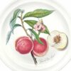 Portmeirion Pomona Royal George Entree Plate