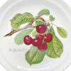 Portmeirion Pomona Entree Plate Late Duke Cherry