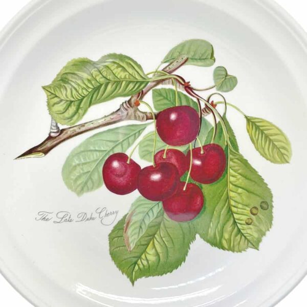 Portmeirion Pomona Entree Plate Late Duke Cherry
