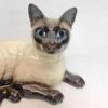 Beswick Female Siamese Looking Forward  1559