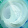 Caithness Scotland Dolphinarium  Glass Paperweight