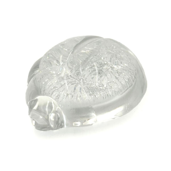 Daum France Glass Tortoise Paperweight