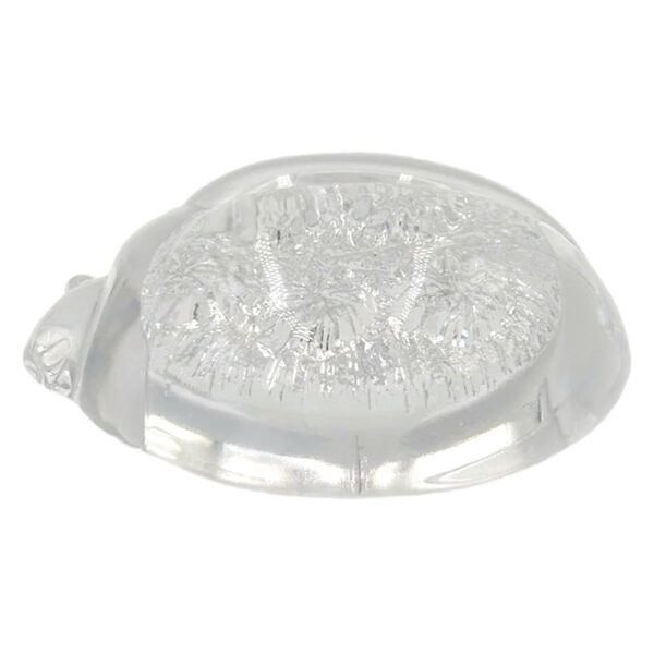 Daum France Glass Tortoise Paperweight