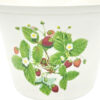 Portmeirion Summer Strawberries Jardiniere 15.5cm