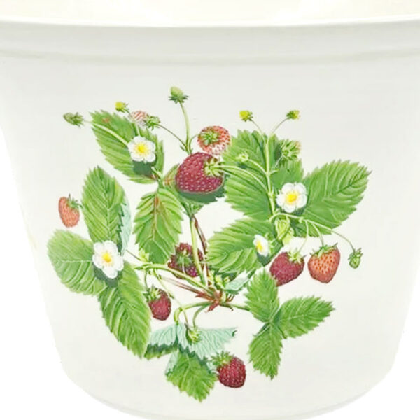 Portmeirion Summer Strawberries Jardiniere 15.5cm