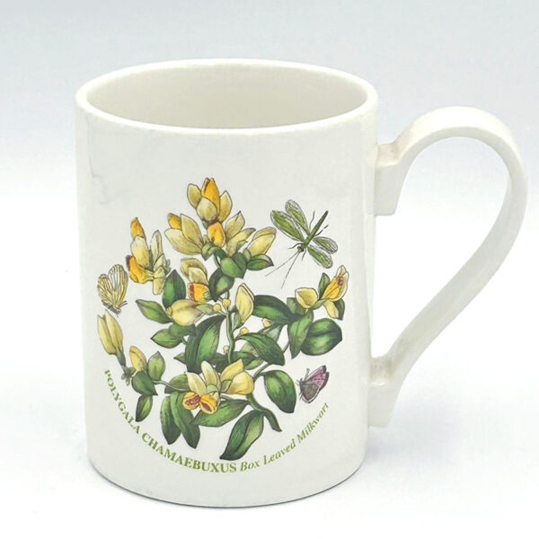 Portmeirion Botanic Garden Coffee Mug Milkwort