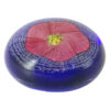 Caithness Scotland Floral Ballet Dancer Glass Paperweight
