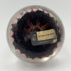 Strathern Glass Floral Millefiori Paperweight