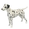 Beswick Dalmation Dog  Figurine Matt No961