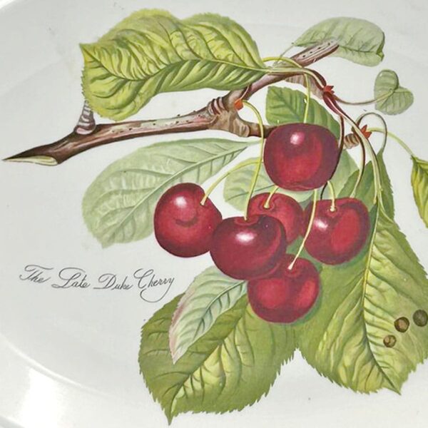 Portmeirion Pomona Main Platter Late Duke Cherry