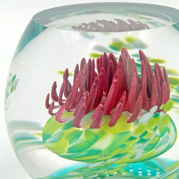 Caithness-Scotland-Caledonian-Thistle-Glass-Paperweight-5 Caithness Scotland Caledonian Thistle Glass Paperweight
