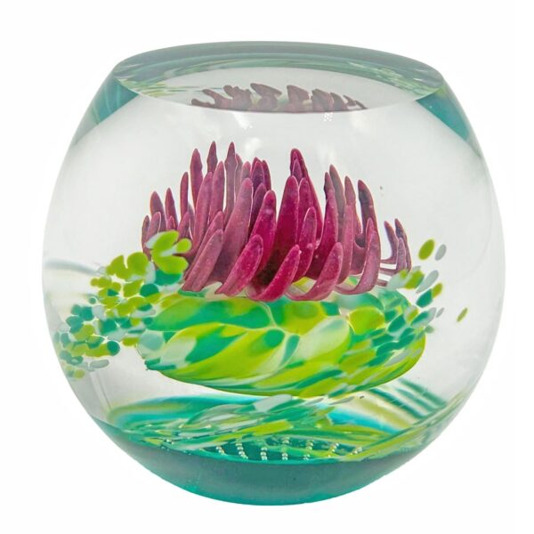 Caithness-Scotland-Caledonian-Thistle-Glass-Paperweight Caithness Scotland Caledonian Thistle Glass Paperweight