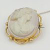 9ct Gold Coral  Cameo Carved Brooch Of A Lady