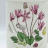 Portmeirion Botanic Garden Coffee Mug Cyclamen