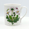 Portmeirion Botanic Garden Coffee Mug Daisy